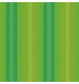 Alison Glass Kaleidoscope Stripes and Plaids, Stripes in Lichen, Fabric Half-Yards