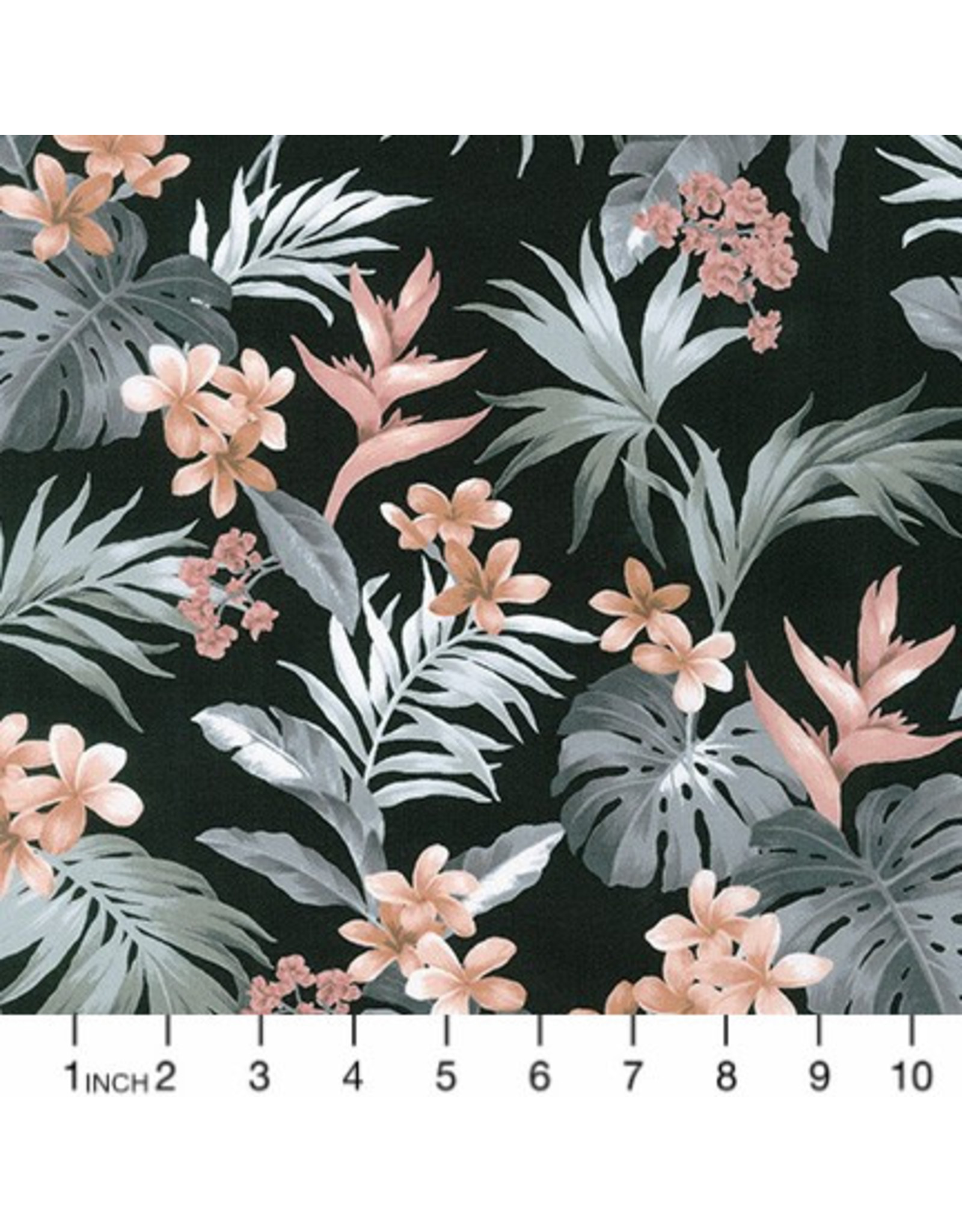 PD's Sevenberry Collection Island Paradise, Bird of Paradise in Black, Dinner Napkin