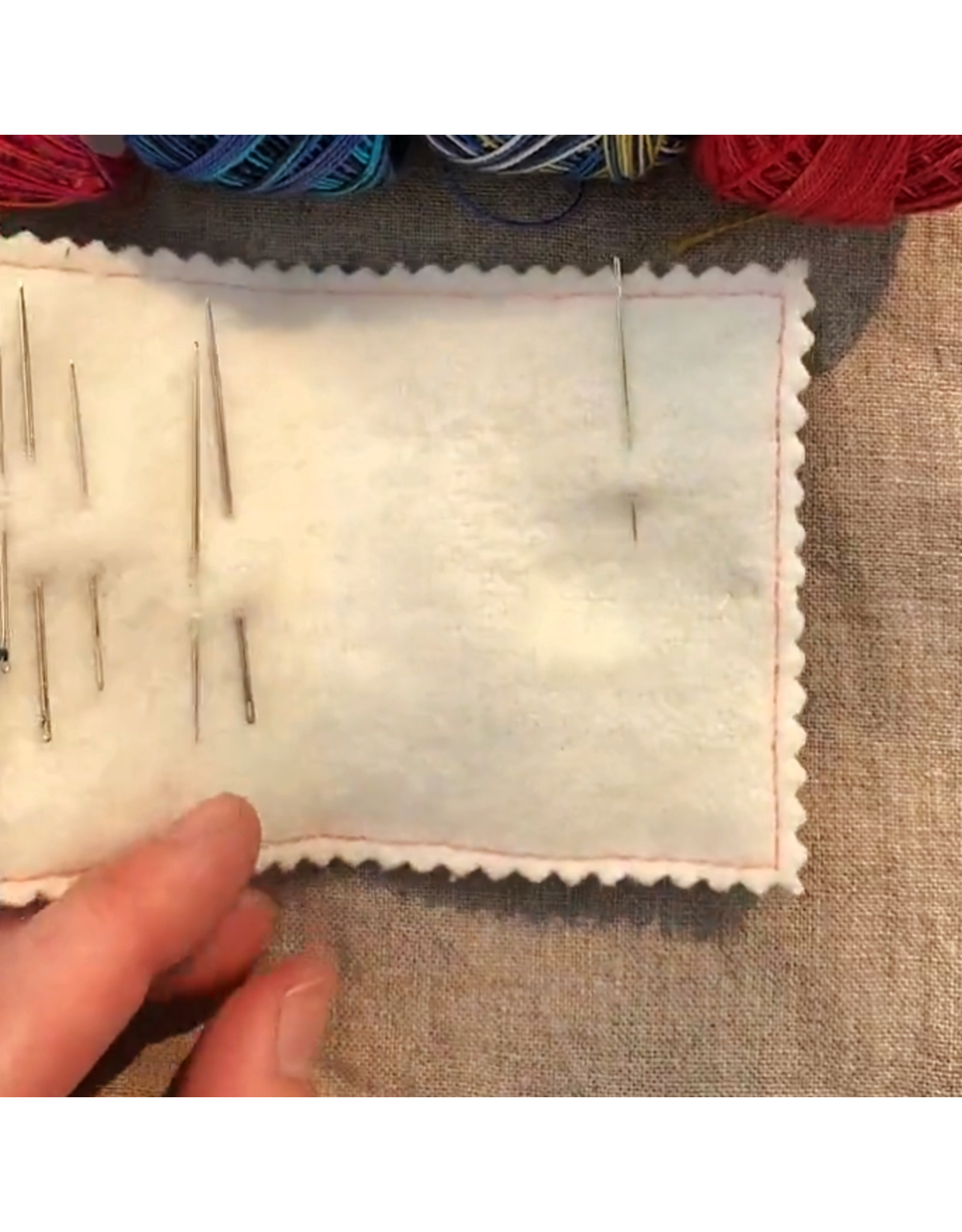 Dropcloth Samplers Strawberry Rainbow Needle Book