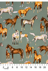 PD's Alexander Henry Collection Santa Fe, Love of Horses in Sage, Dinner Napkin