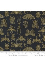 Gingiber Meadowmere, Midnight Insects in Night with Metallic, Fabric Half-Yards