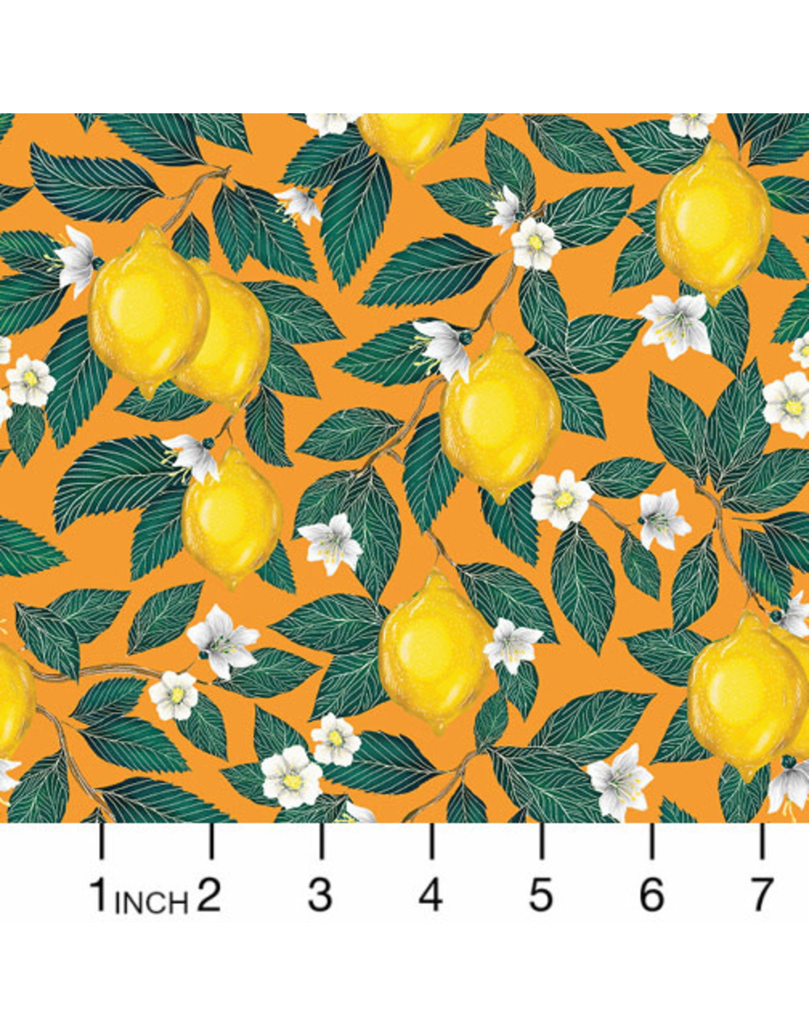 Windham Fabrics Just Fruit, Lemons in Orange, Fabric Half-Yards