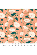 PD's Figo Collection Daybreak, Morning Glories in Coral, Dinner Napkin