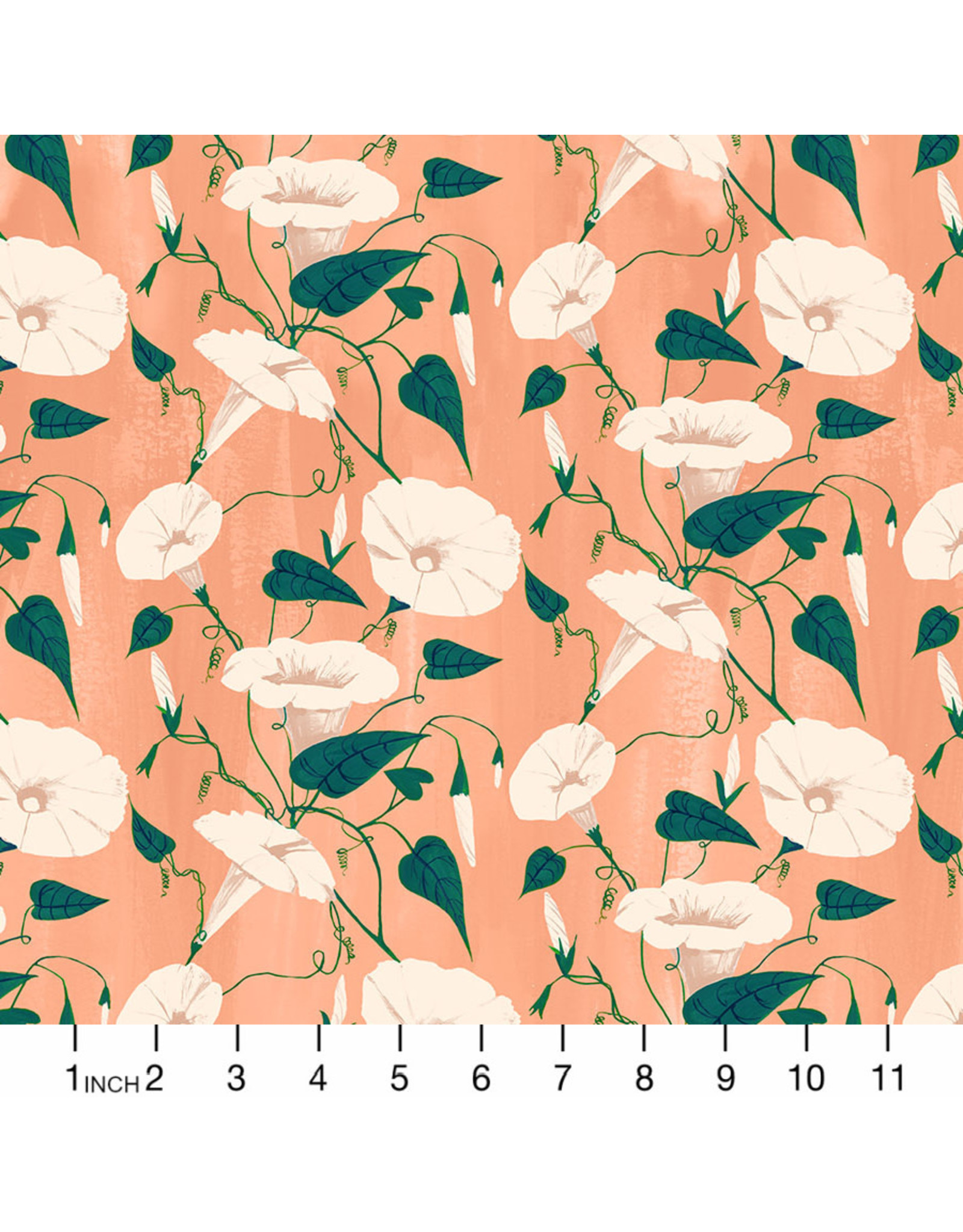 PD's Figo Collection Daybreak, Morning Glories in Coral, Dinner Napkin