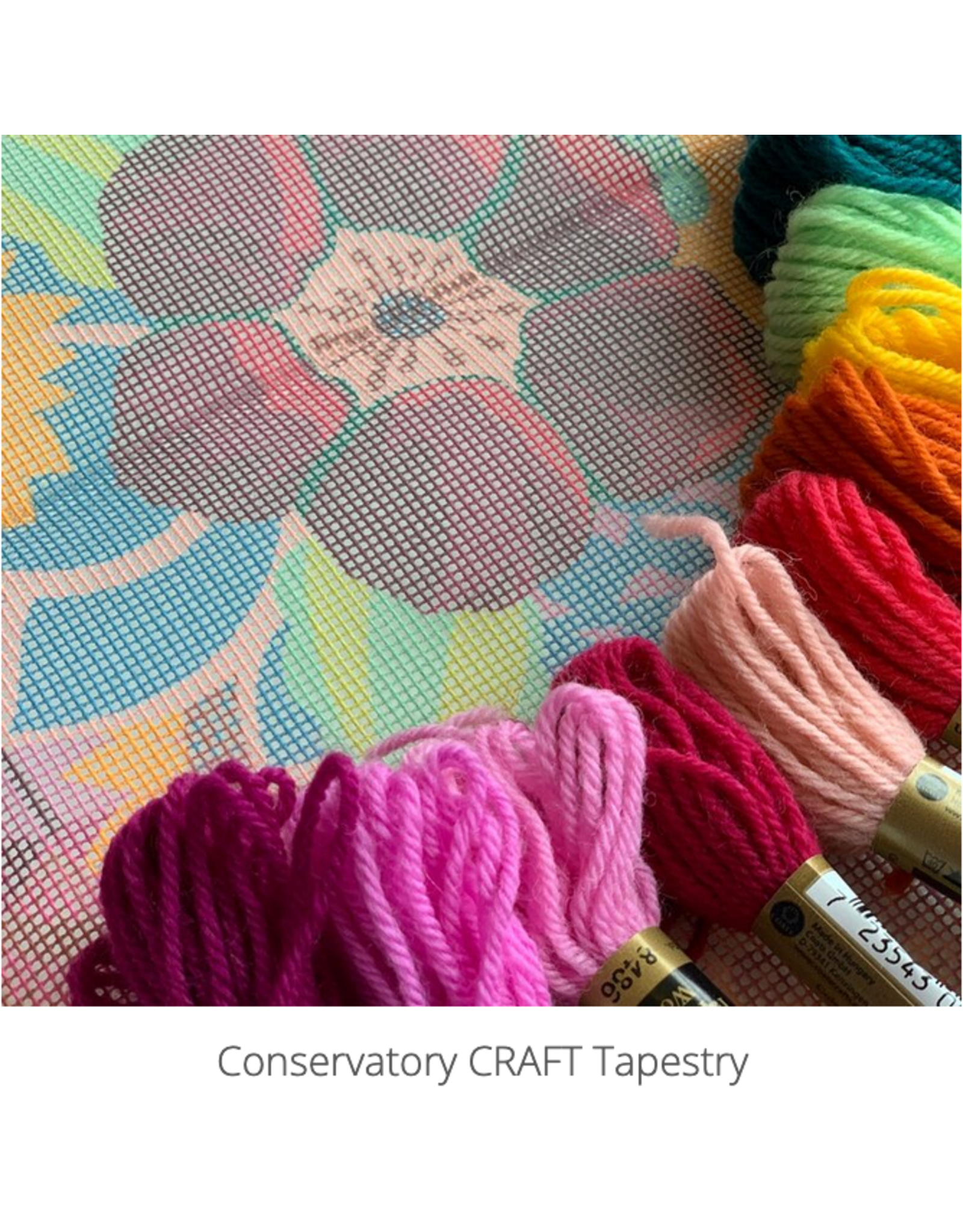 Conservatory Craft Garden Gift, Tapestry Needlepoint Kit