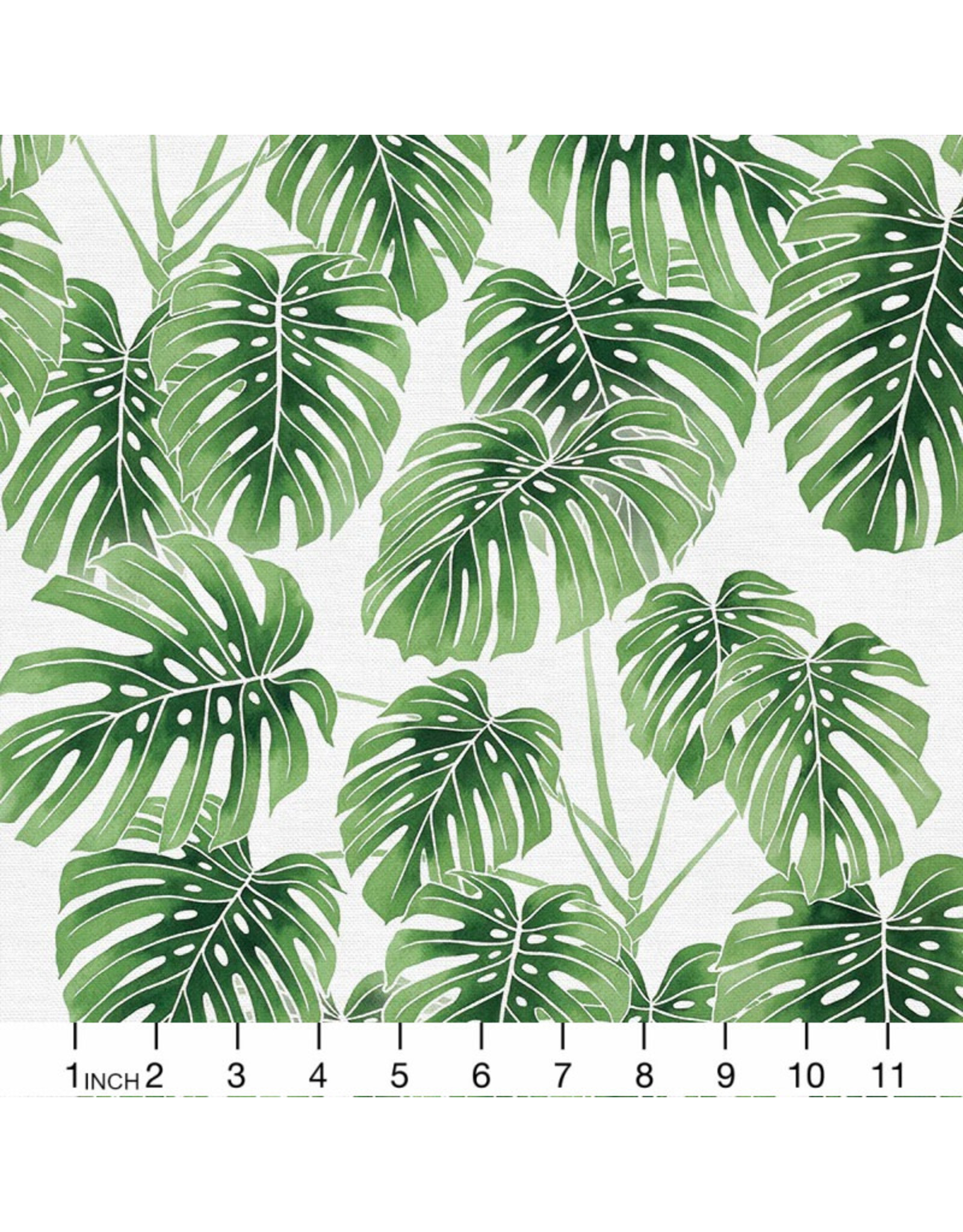 PD's Paintbrush Studio Collection Modern Botanicals, Monstera in Green, Dinner Napkin