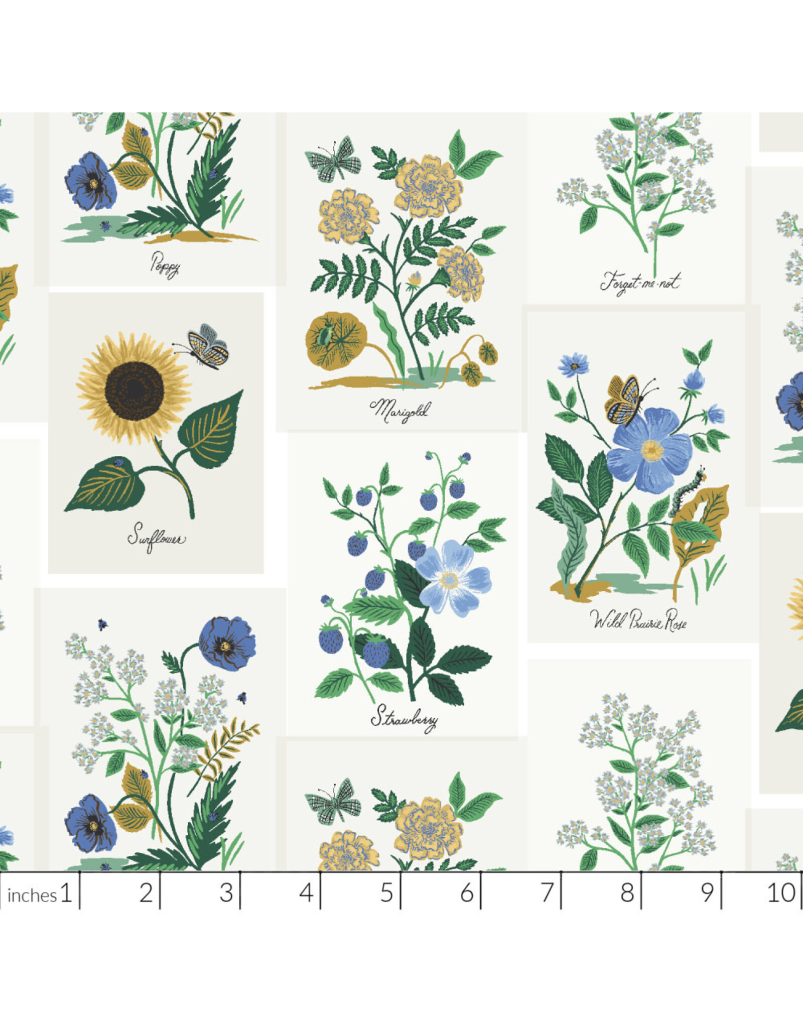 PD's Rifle Paper Co Collection Curio, Botanical Prints in Blue Multi, Dinner Napkin