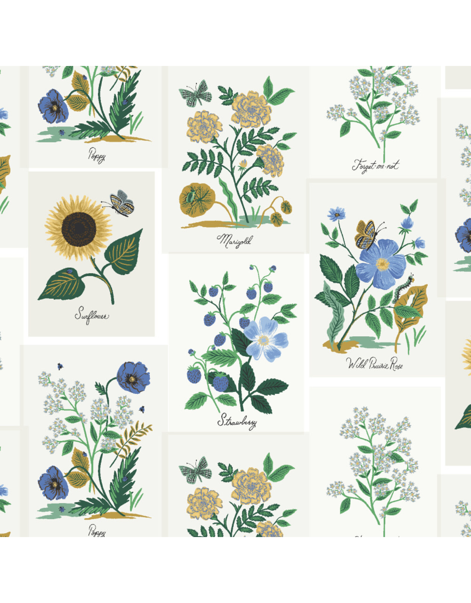 Rifle Paper Co. ON SALE-5 YARD CUT - Curio, Botanical Prints in Blue Multi