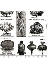 PD's J Wecker Frisch Collection Pumpkin Patch, Vintage Veggies in Black, Dinner Napkin PD's J Wecker Frisch Collection Pumpkin Patch, Vintage Veggies in Black, Dinner Napkin