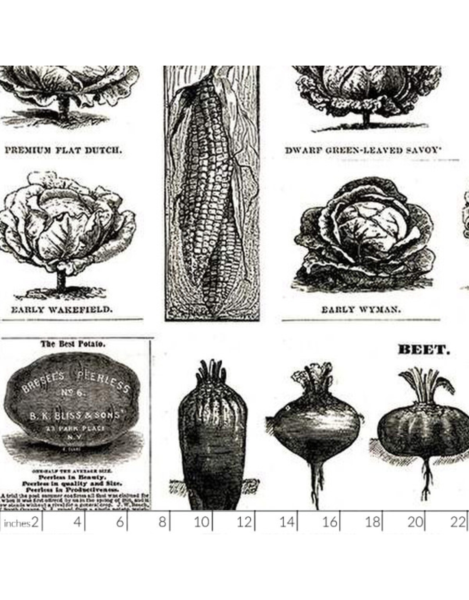 PD's J Wecker Frisch Collection Pumpkin Patch, Vintage Veggies in Black, Dinner Napkin