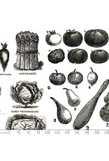 PD's J Wecker Frisch Collection Pumpkin Patch, Vintage Veggies in Black, Dinner Napkin PD's J Wecker Frisch Collection Pumpkin Patch, Vintage Veggies in Black, Dinner Napkin