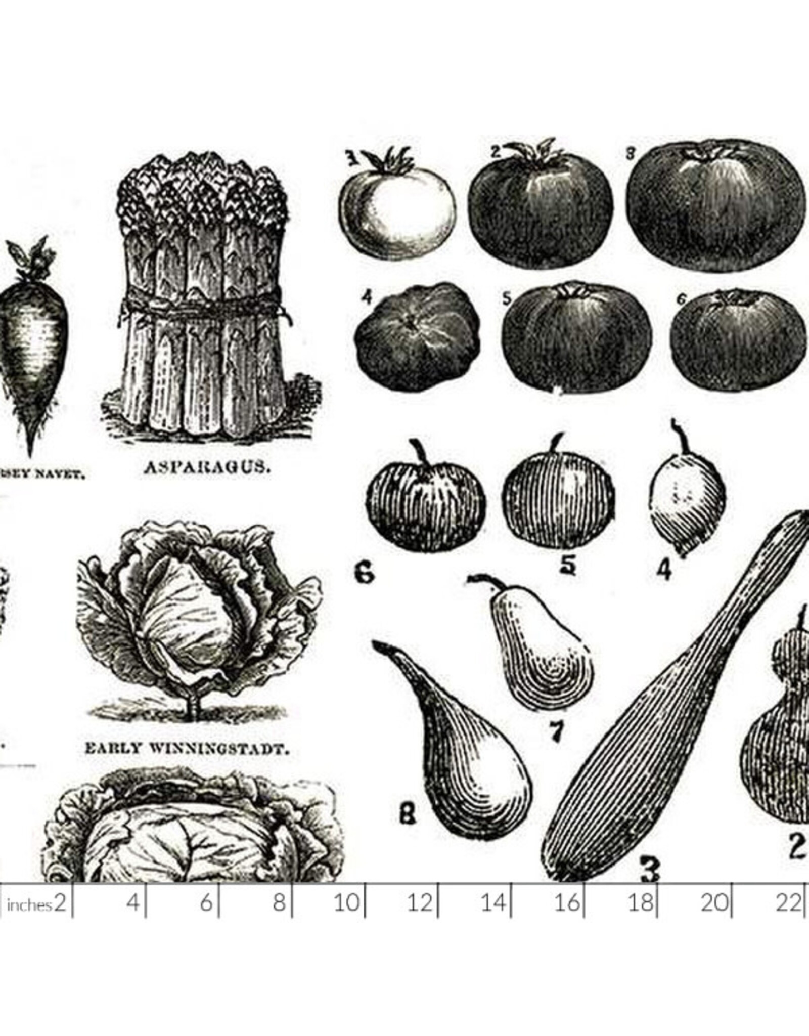 J. Wecker Frisch Pumpkin Patch, Vintage Veggies in Black, Fabric Half-Yards