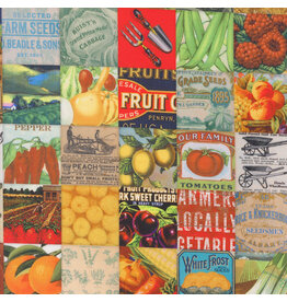 Moda Farm and Garden, Patchwork in Garden, Fabric Half-Yards