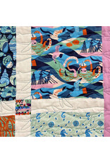 Picking Daisies SLO Blocks Quilt Kit