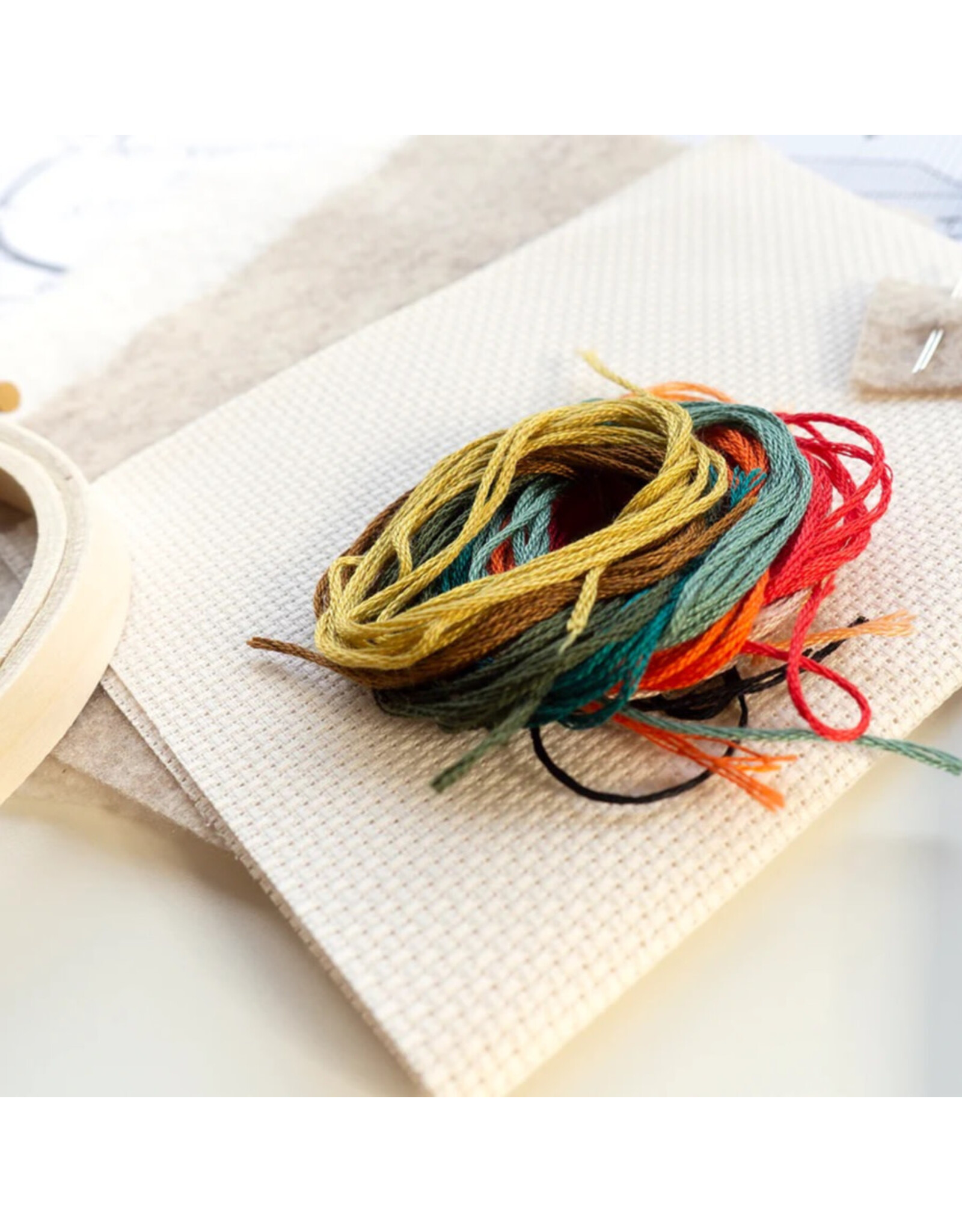 Junebug & Darlin Bibliophila Cross Stitch Kit