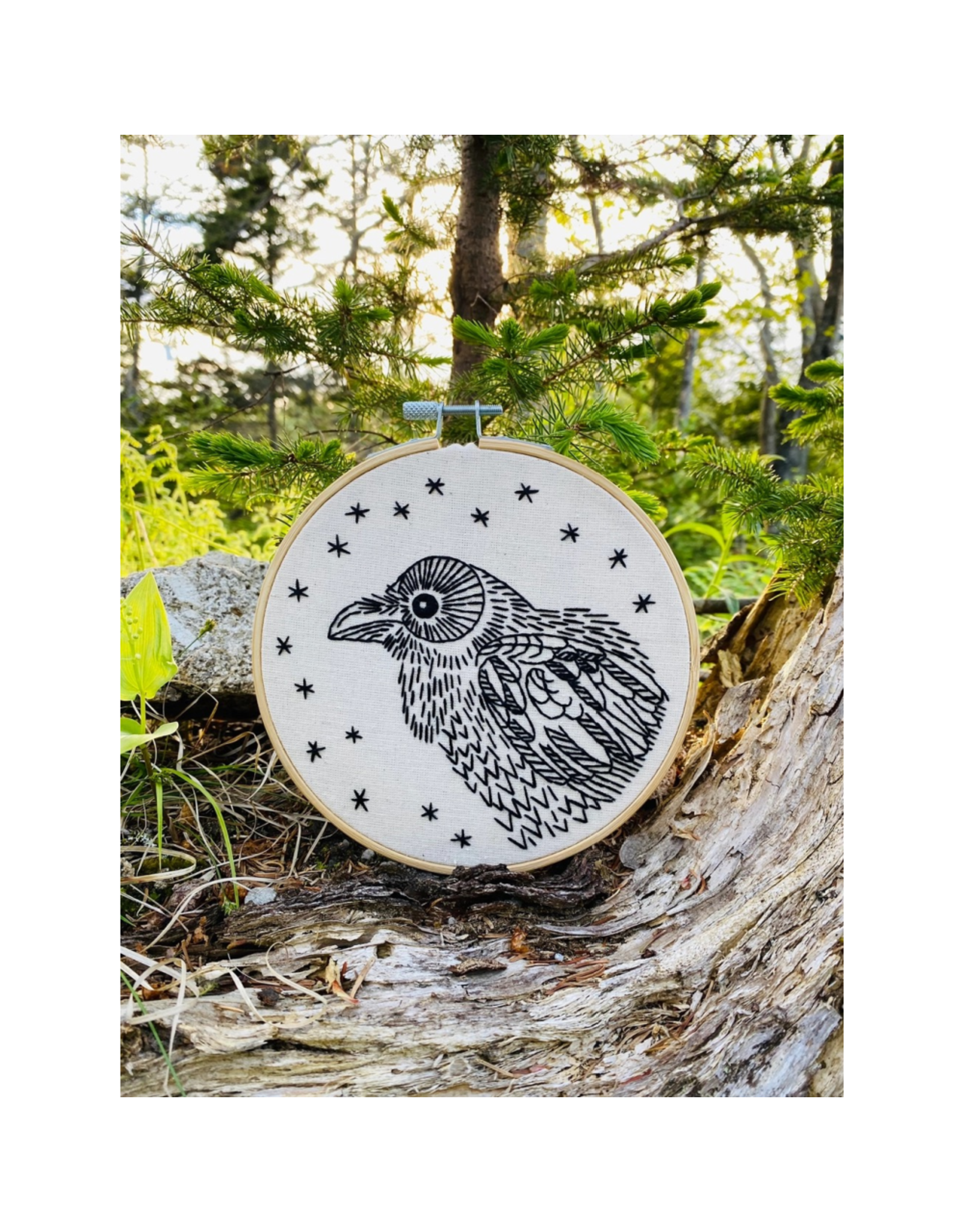 Hook, Line & Tinker Raven Nevermore Embroidery Kit