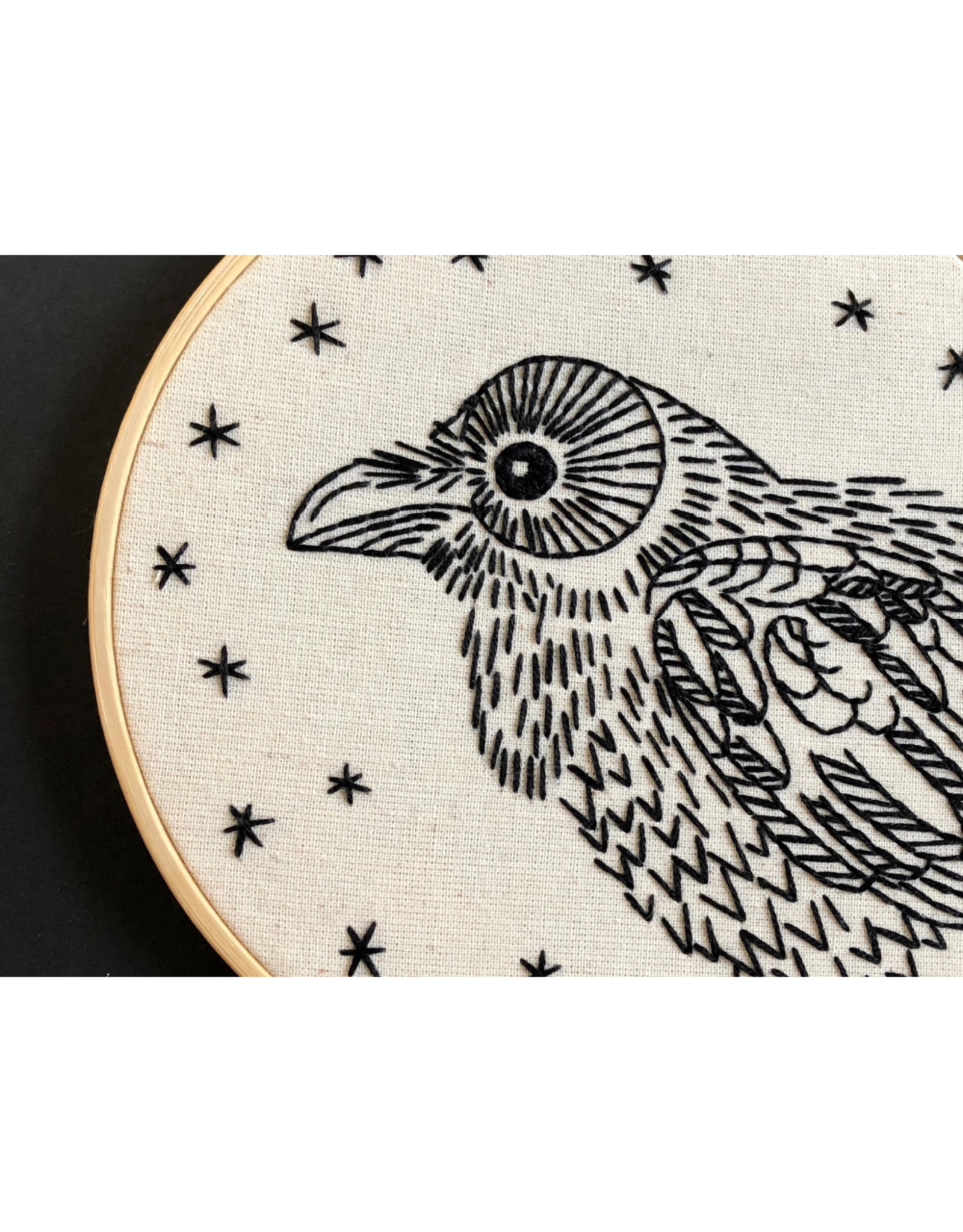 Hook, Line & Tinker Raven Nevermore Embroidery Kit