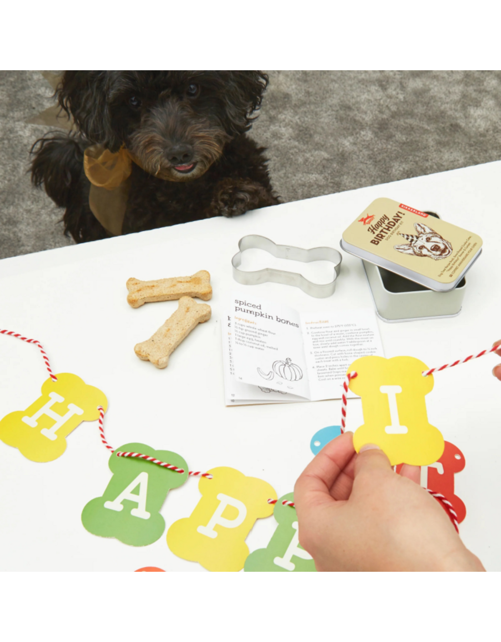 Kikkerland Dog Birthday Kit