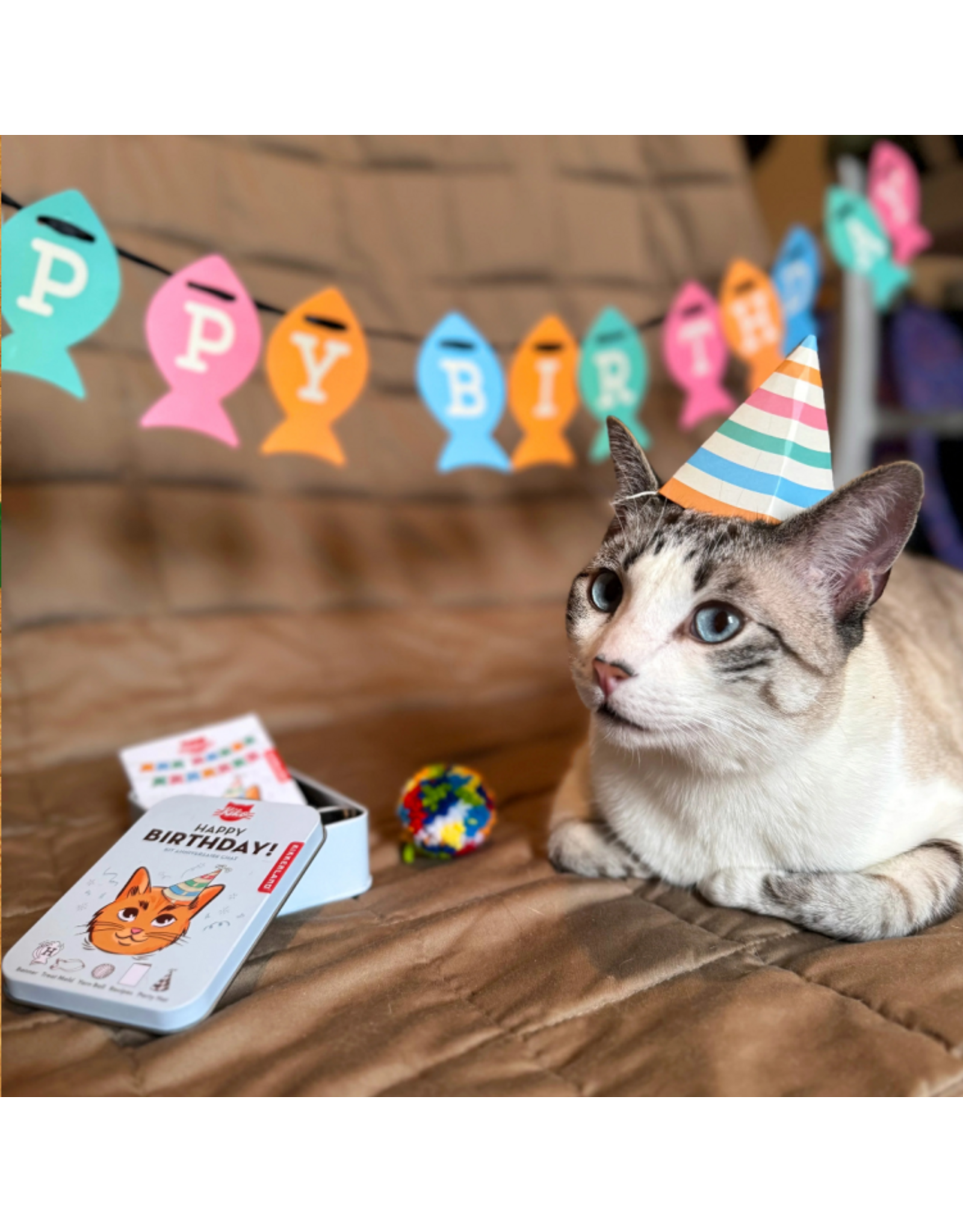 Kikkerland Kiko Cat Happy Birthday Kit