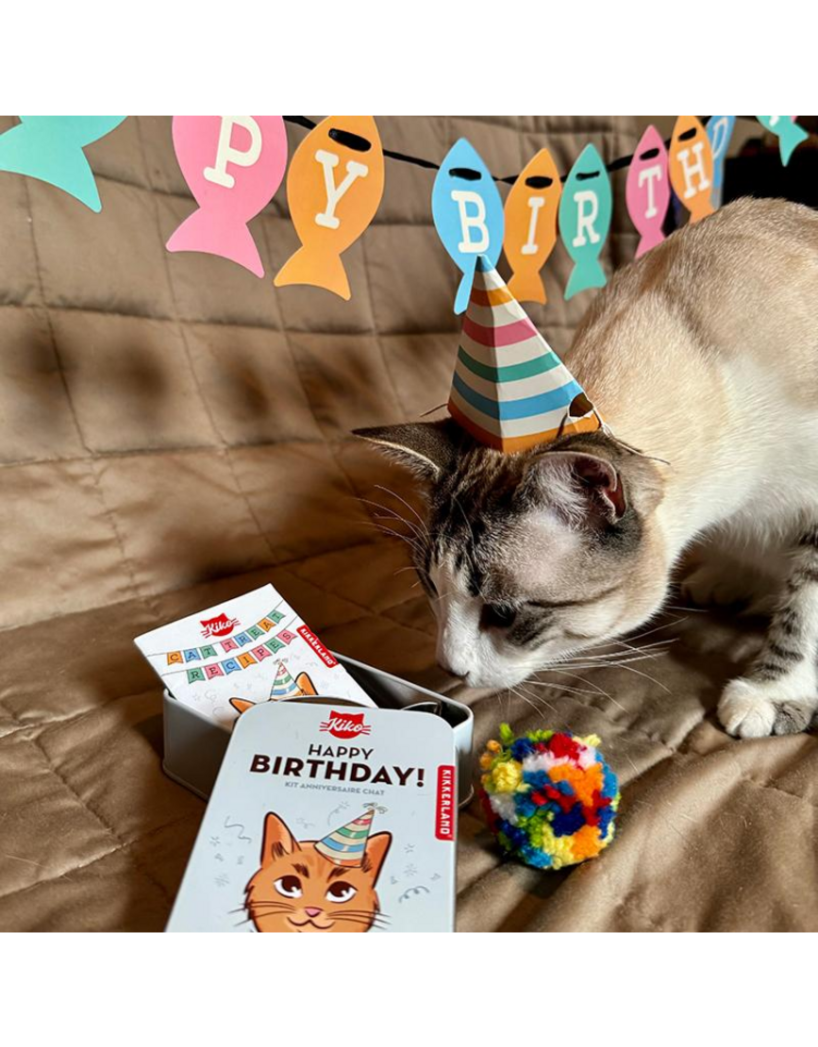 Kikkerland Kiko Cat Happy Birthday Kit