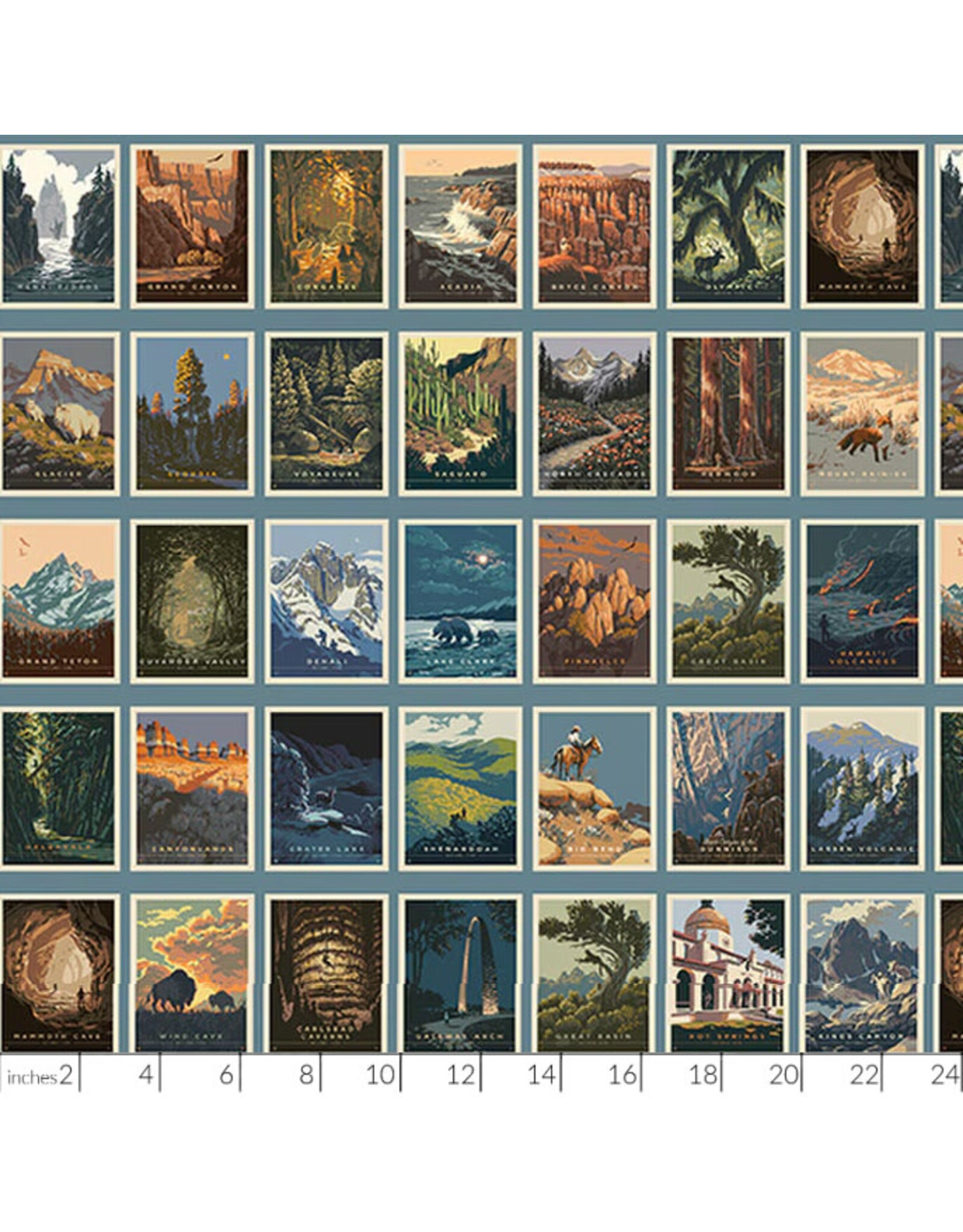 Riley Blake Fabrics National Parks, Postcards in Blue, Fabric Half-Yards