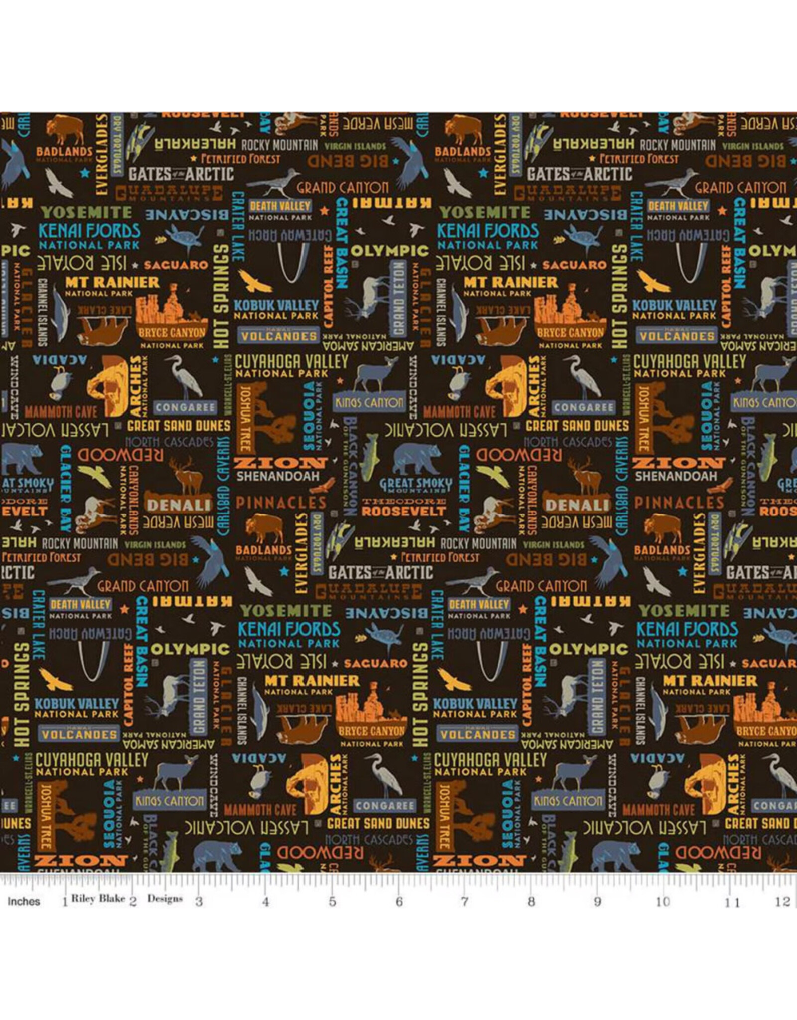 PD's Riley Blake Collection National Parks, Word Print in Black, Dinner Napkin