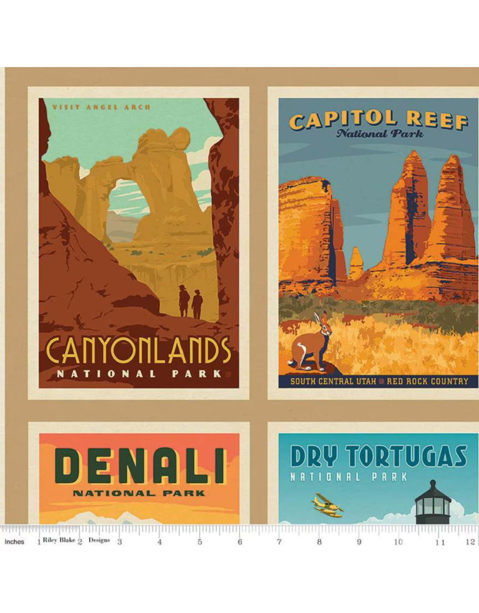 Riley Blake Fabrics National Parks, Wilderness Wonders 54" x 72"  Fabric Panel