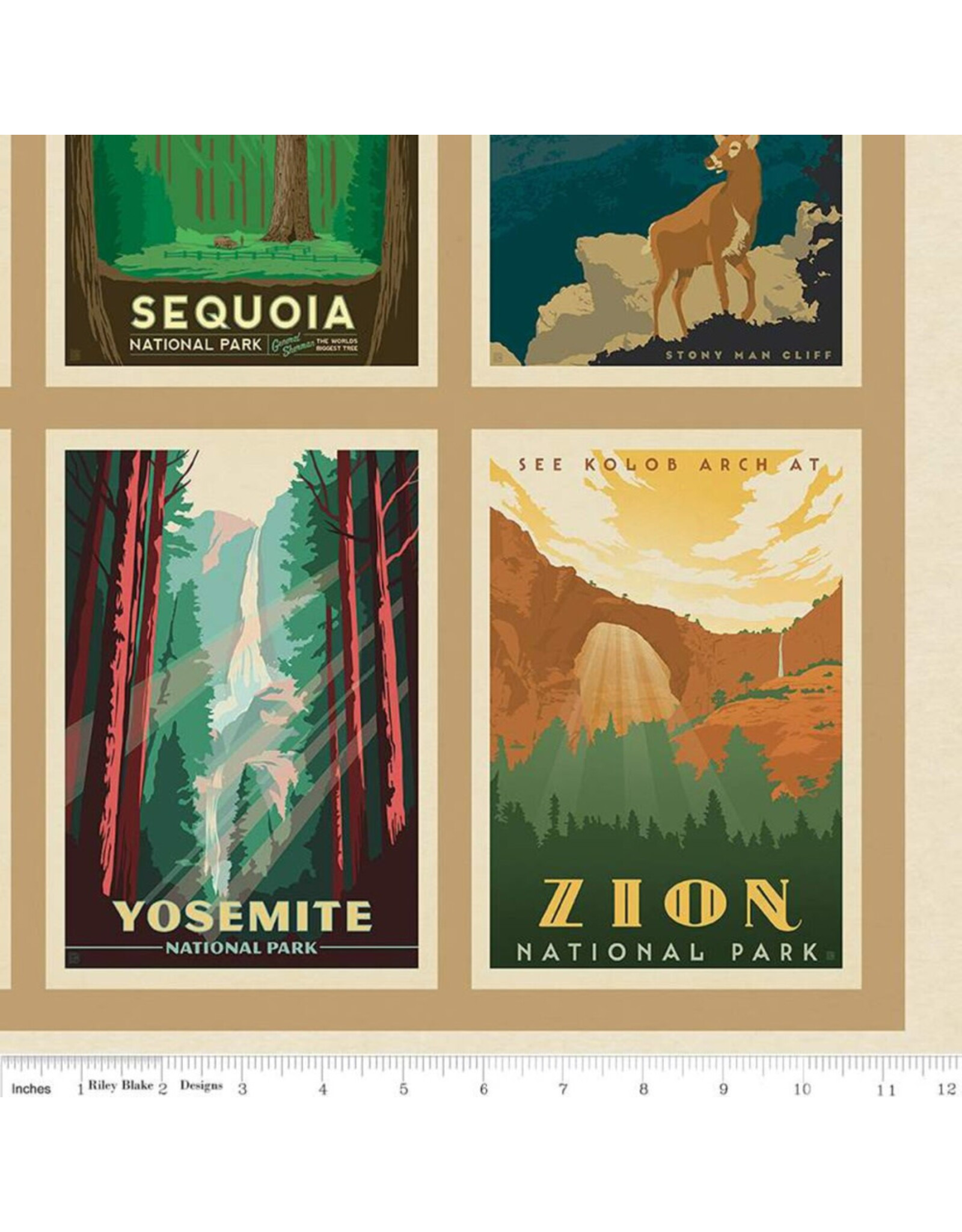 Riley Blake Fabrics National Parks, Wildernss Wonders 54" x 72"  Fabric Panel