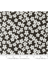 Alli K Design True to Hue, Petal Accent in Black as Night, Fabric Half-Yards