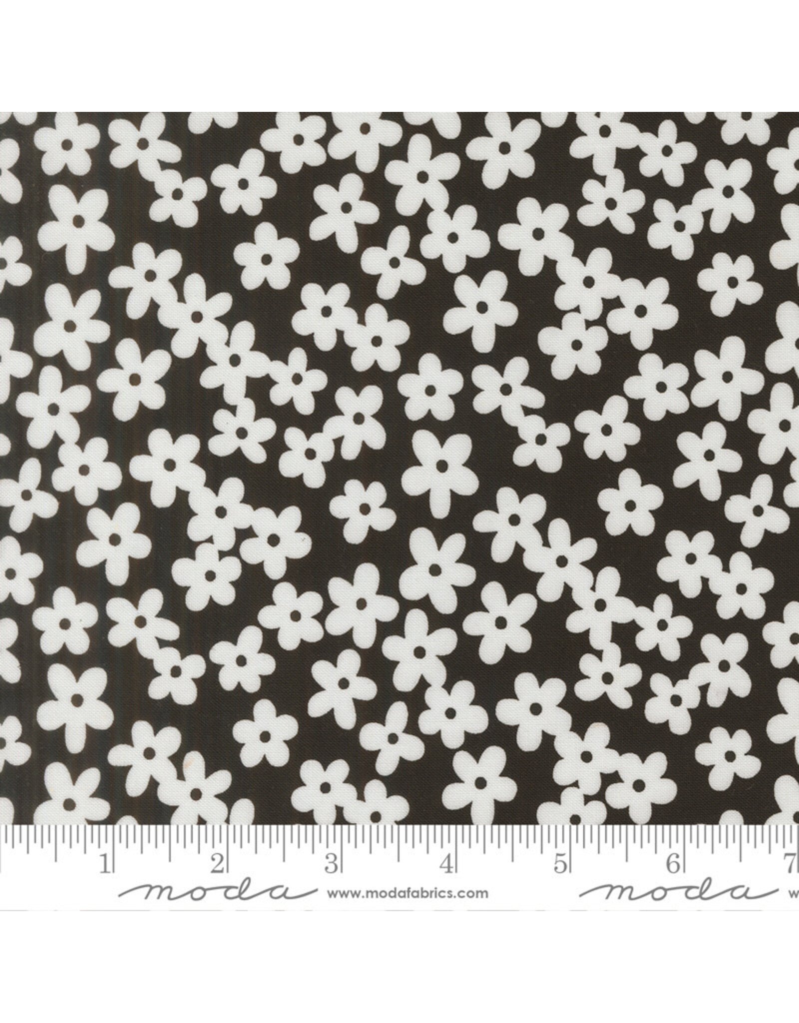 Alli K Design True to Hue, Petal Accent in Black as Night, Fabric Half-Yards
