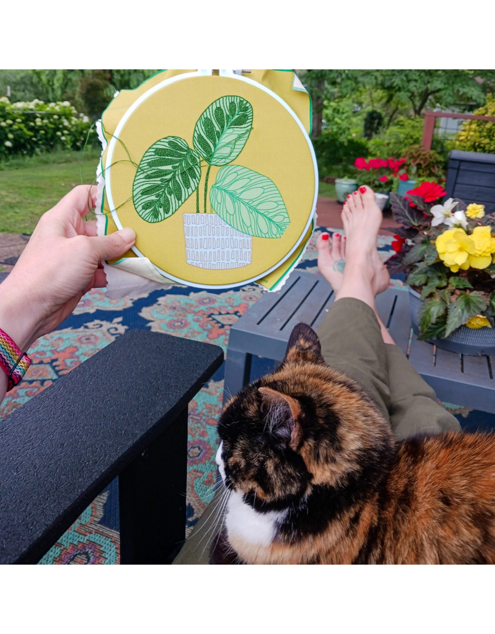 cozyblue Peacock Plant Embroidery Kit from cozyblue