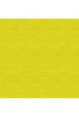 Anna Maria Check Mates, Yarn Dyed Woven, Gameboard in Spring, Fabric Half-Yards