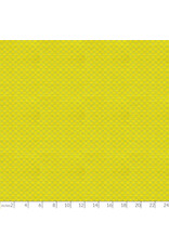 Anna Maria Check Mates, Yarn Dyed Woven, Gameboard in Spring, Fabric Half-Yards