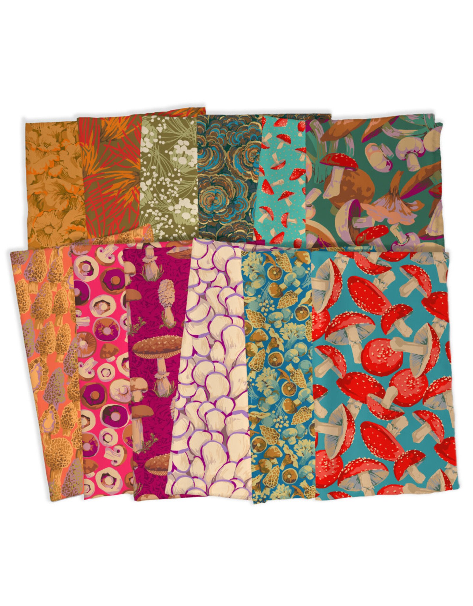 Martha Negley Forage Fat Quarter Bundle - 12 pc.