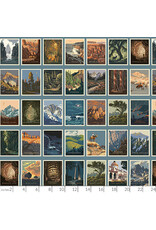 Riley Blake Fabrics National Parks, Postcards in Blue, Fabric Half-Yards