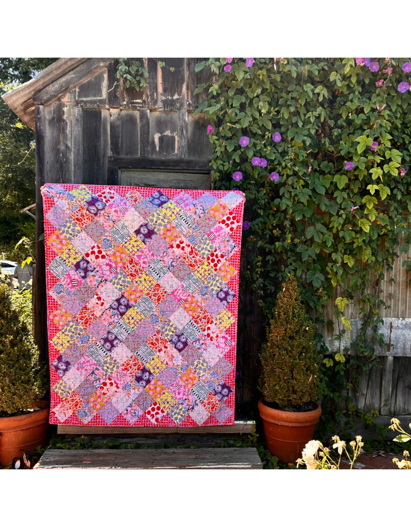 Picking Daisies Blueberry Dance Floor, Quilt Kit, 59" x 74"