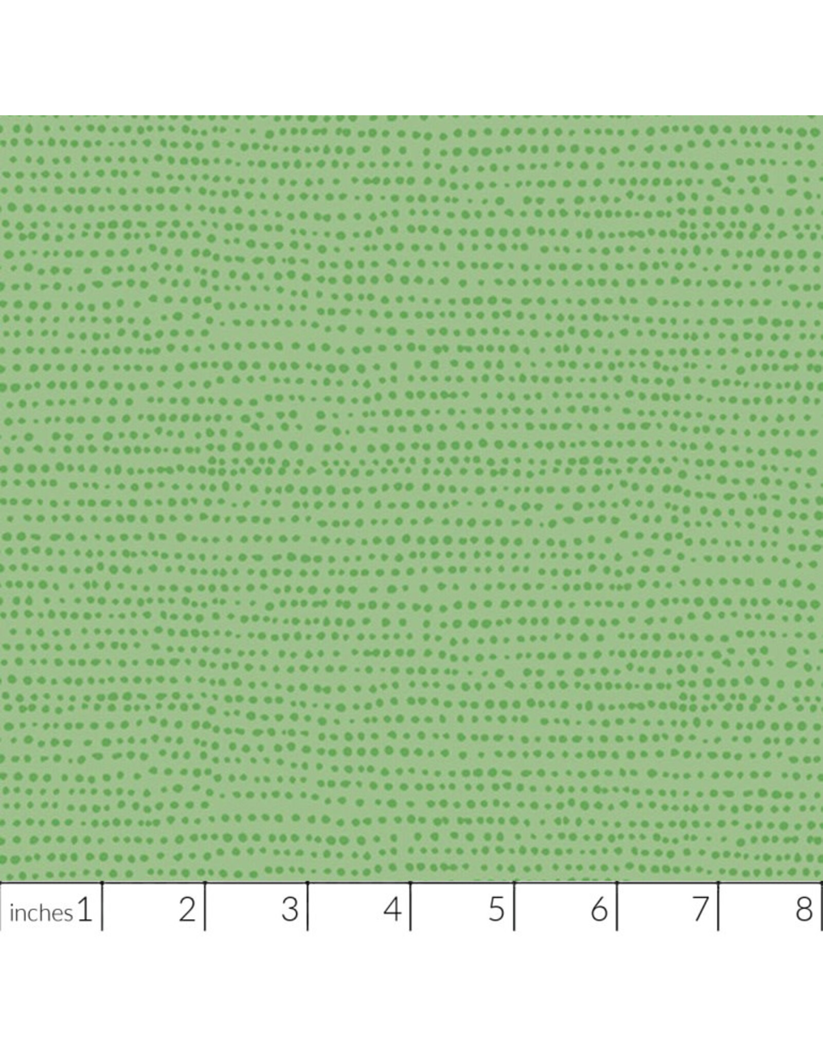 PD's Dear Stella Collection Moonscape in Kiwi, Dinner Napkin
