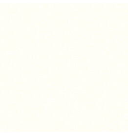 Carolyn Friedlander Memento, Walnuts in (White on Cream) Cream Soda, Fabric Half-Yards