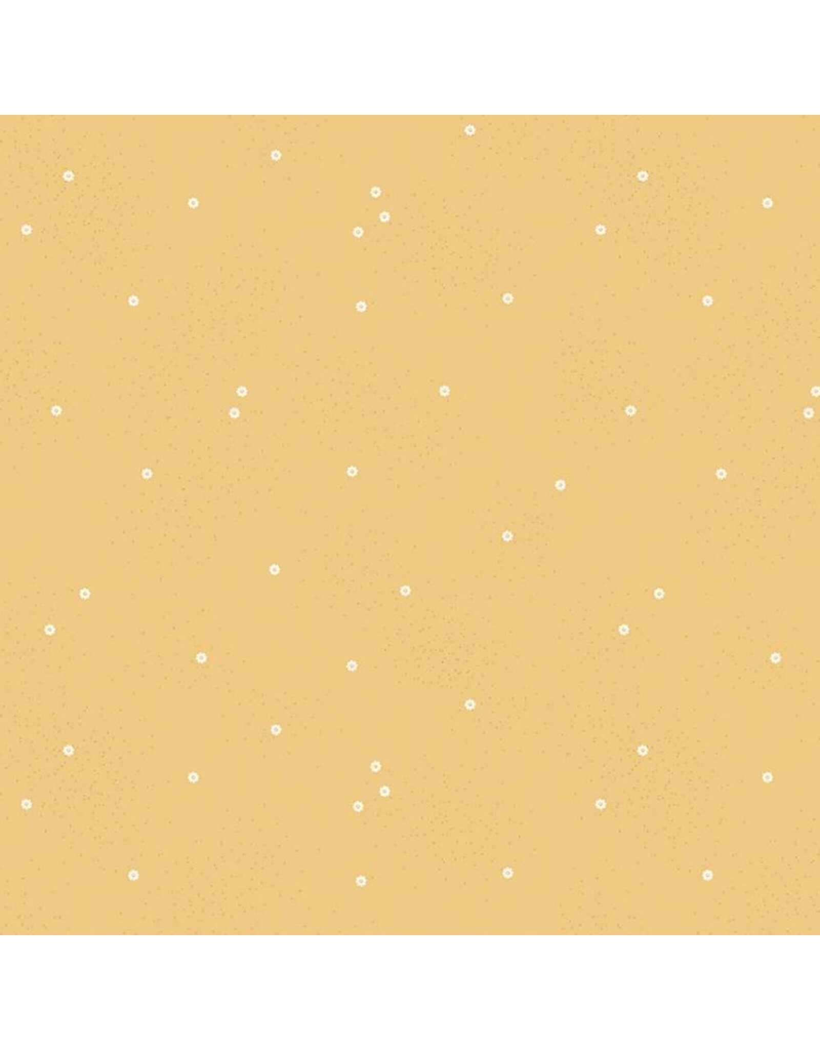 Riley Blake Fabrics Dainty Daisy in Honey,  Fabric Half-Yards
