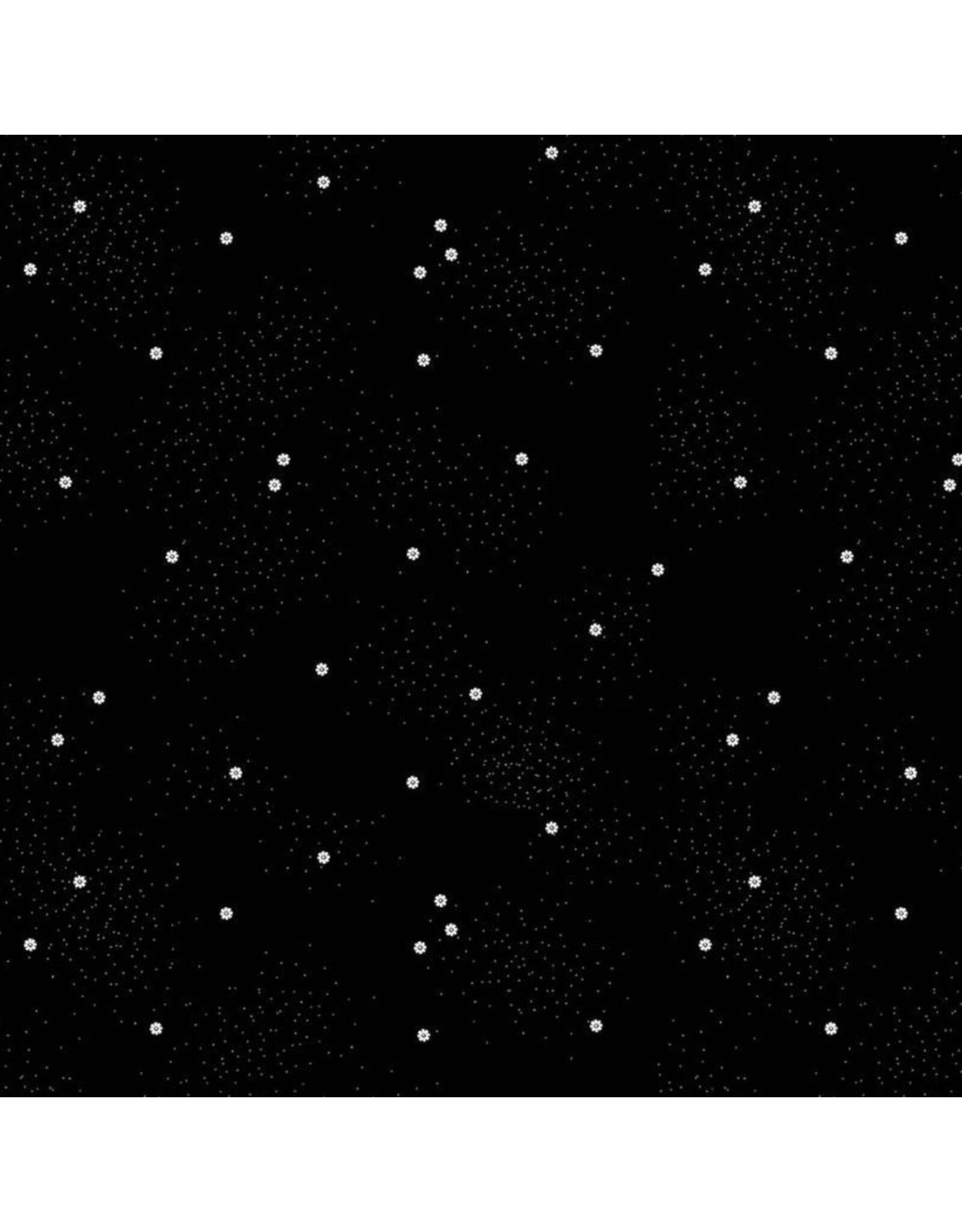 Riley Blake Fabrics Dainty Daisy in Licorice,  Fabric Half-Yards