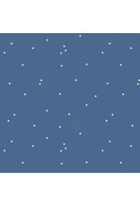 Riley Blake Fabrics Dainty Daisy in Denim,  Fabric Half-Yards