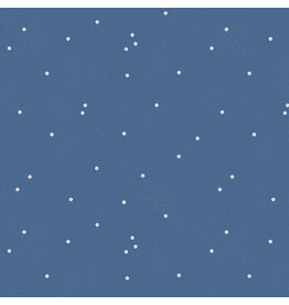 Riley Blake Fabrics Dainty Daisy in Denim,  Fabric Half-Yards