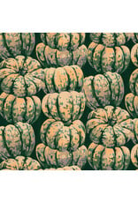Martha Negley Golden Harvest, Squashed in Green, Fabric Half-Yards