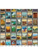 PD's Riley Blake Collection National Parks, Posters in Black, Dinner Napkin