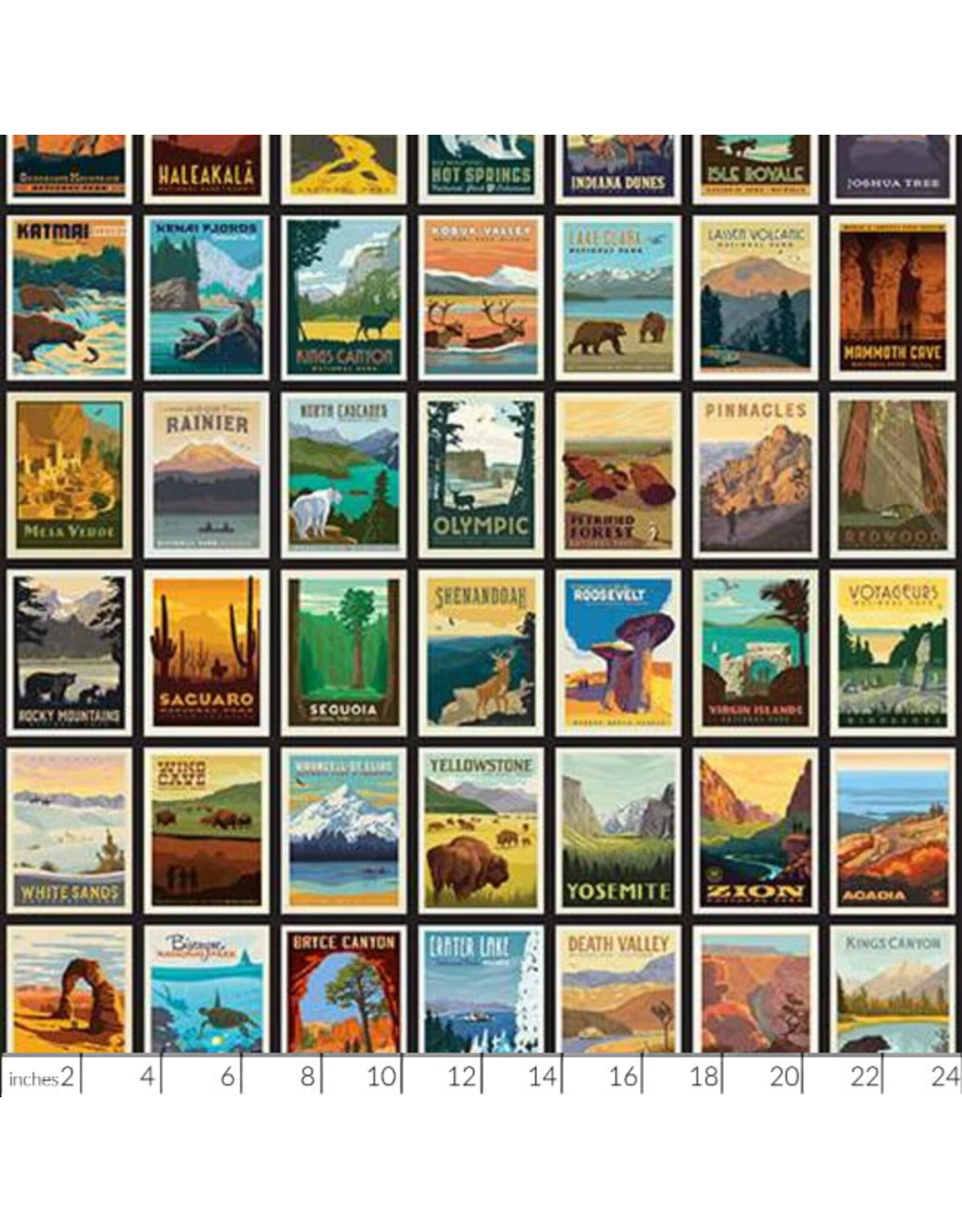 PD's Riley Blake Collection National Parks, Posters in Black, Dinner Napkin