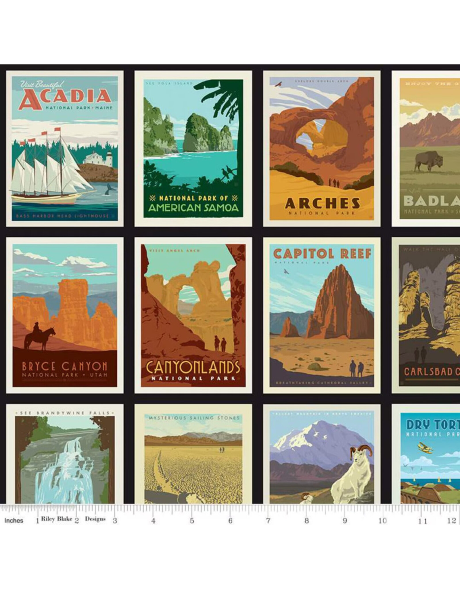 PD's Riley Blake Collection National Parks, Posters in Black, Dinner Napkin