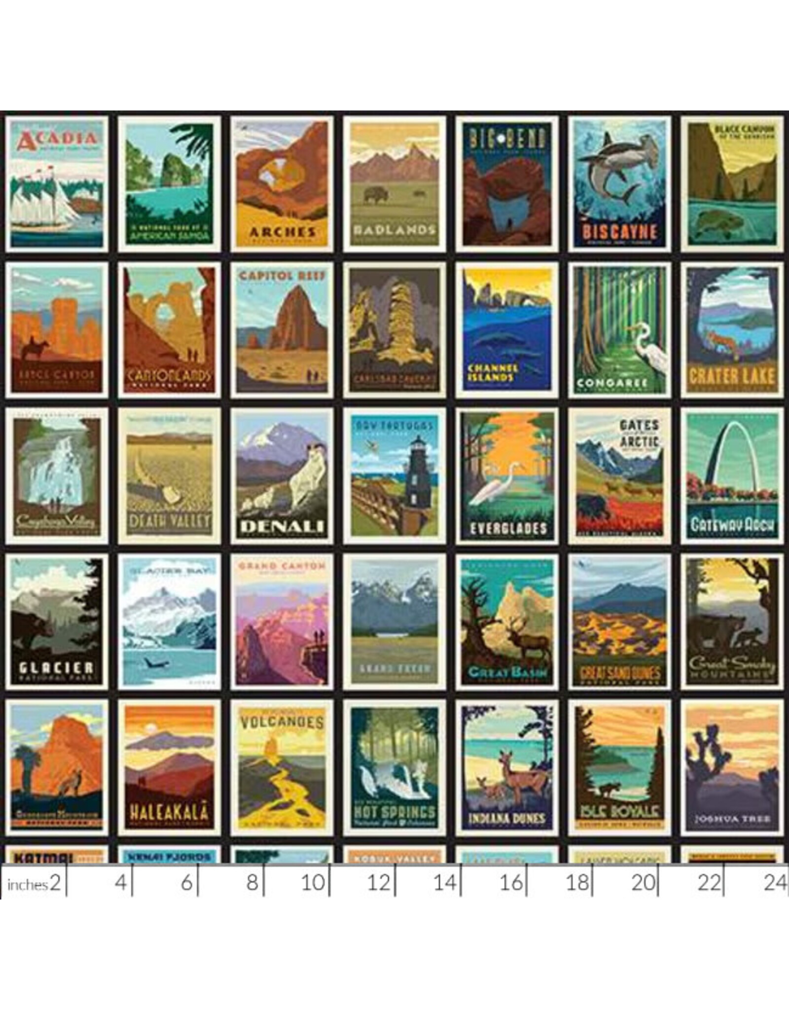 Riley Blake Fabrics National Parks, Posters in Black, Fabric Half-Yards