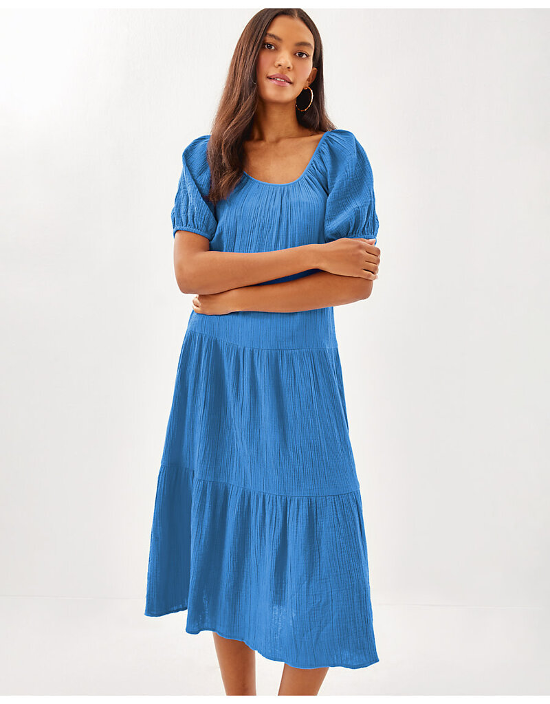 Lilly Pulitzer Zemini Maxi Cover-up