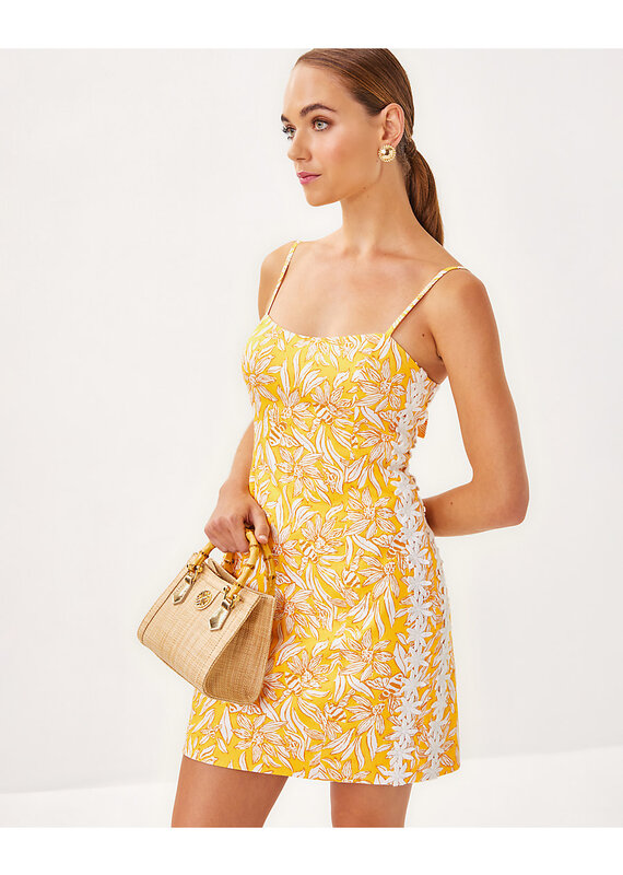 Lilly Pulitzer Shelli Stretch Dress