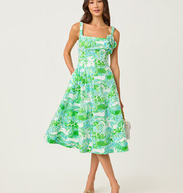 Lilly Pulitzer Nelly Stretch Dress